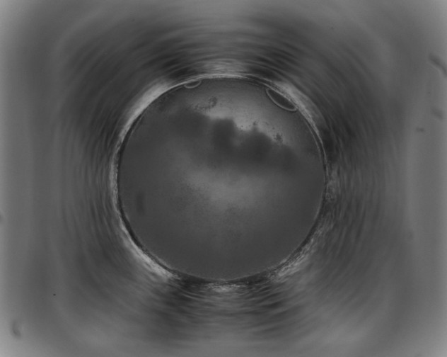 X0000097601243200802291235
