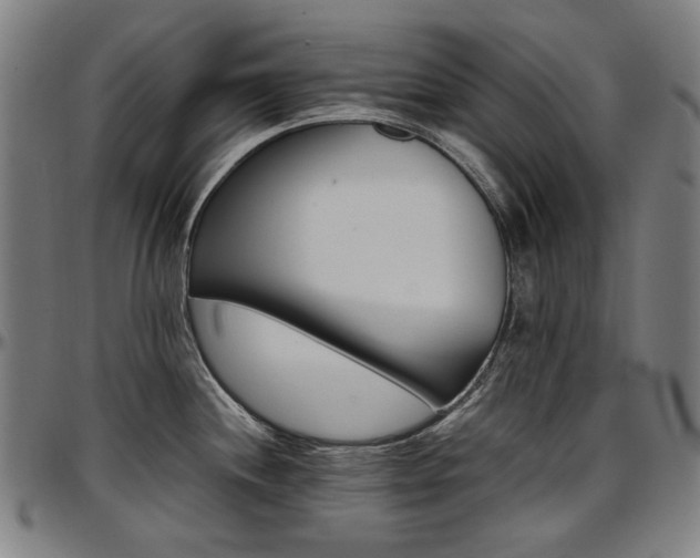 X0000097601244200802291236