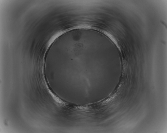 X0000097601245200802291236