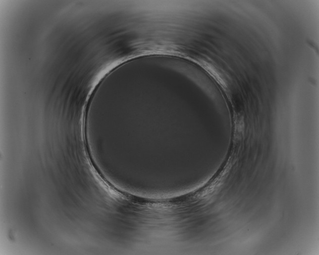 X0000097601246200802291236
