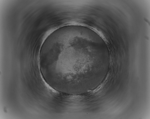 X0000097601247200802291236