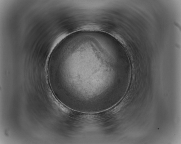 X0000097601248200802291236