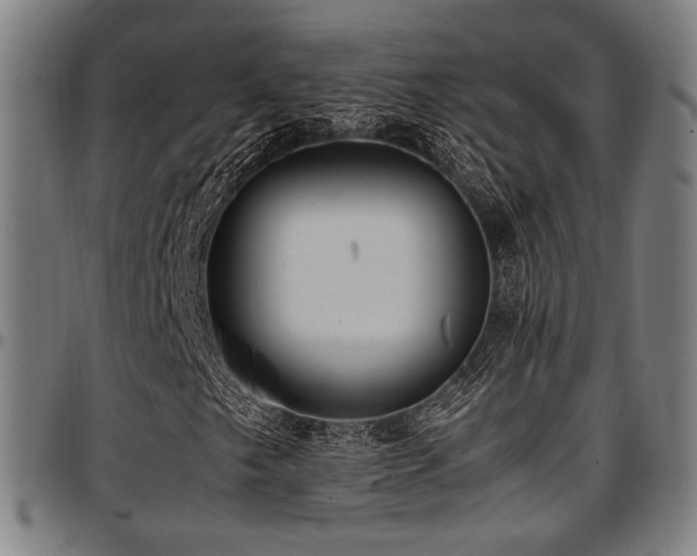 X0000097601249200802291235