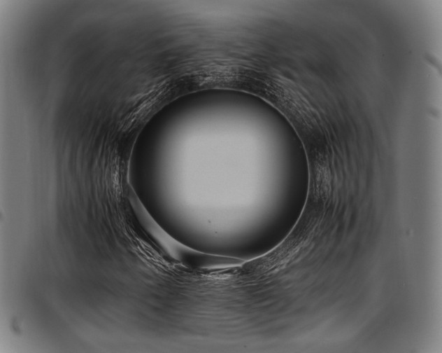X0000097601250200802291235