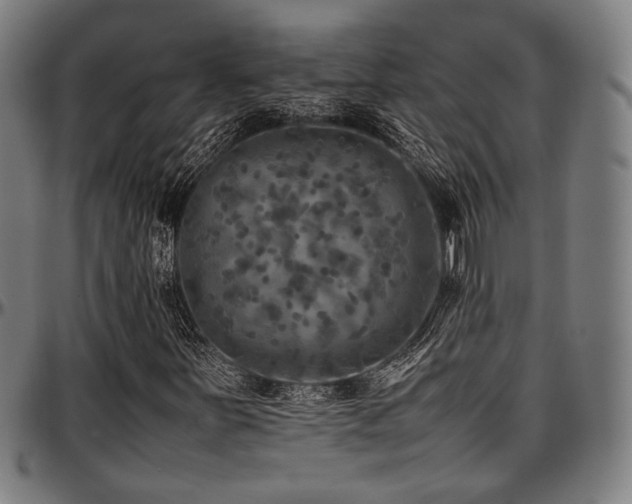 X0000097601251200802291235