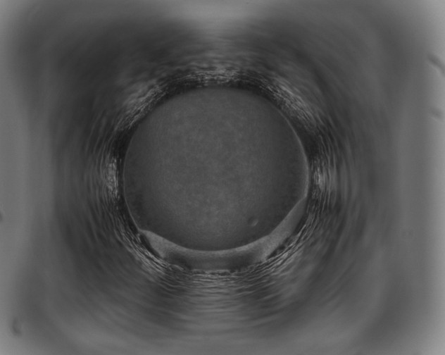 X0000097601252200802291235
