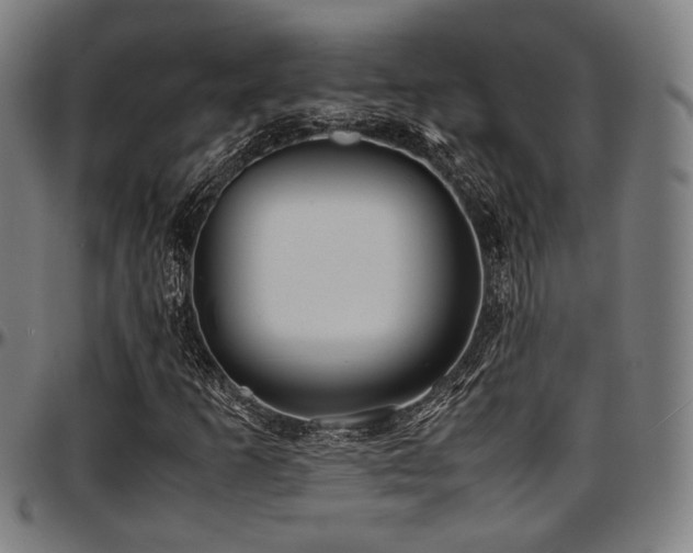 X0000097601253200802291235