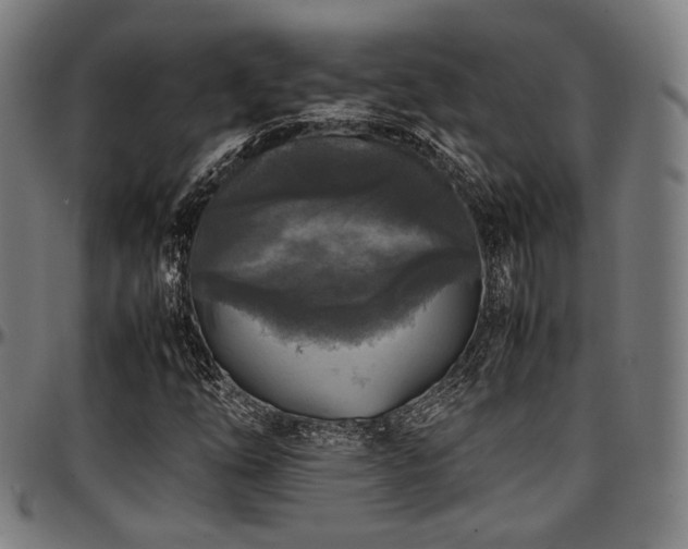 X0000097601254200802291235