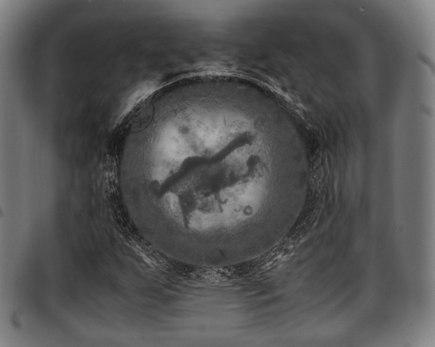 X0000097601255200802291235