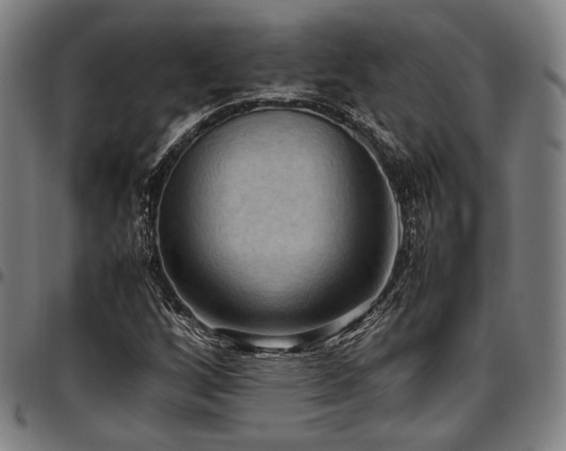 X0000097601256200802291235