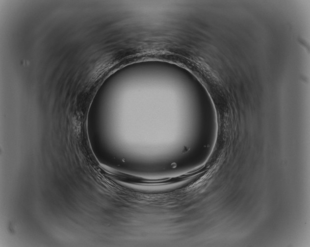 X0000097601257200802291235
