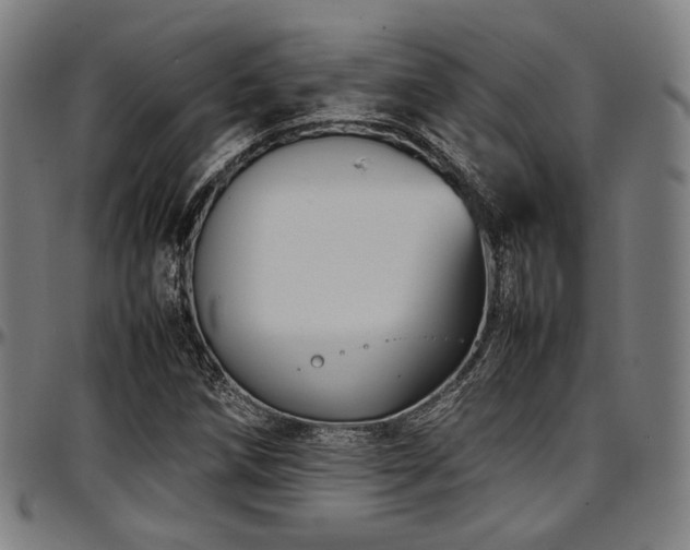 X0000097601258200802291235