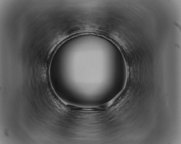 X0000097601260200802291235