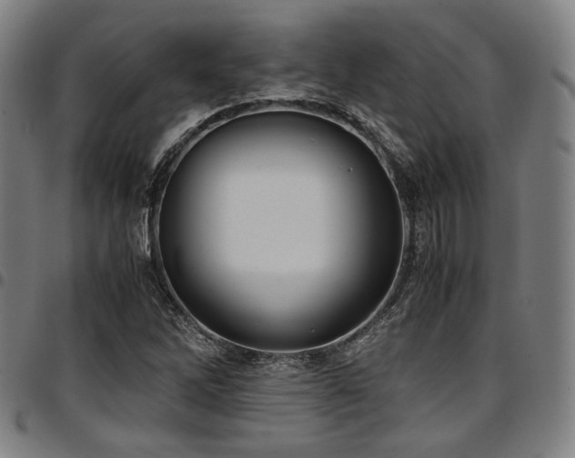 X0000097601262200802291235