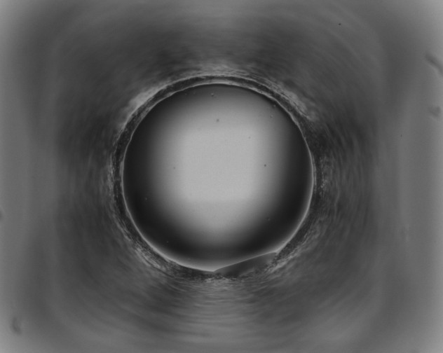 X0000097601264200802291235