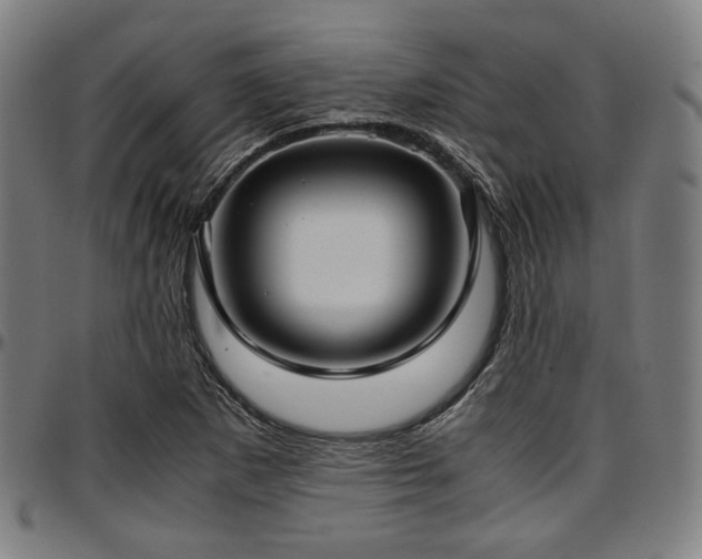 X0000097601265200802291235
