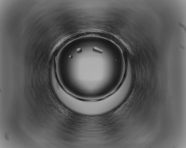 X0000097601266200802291235