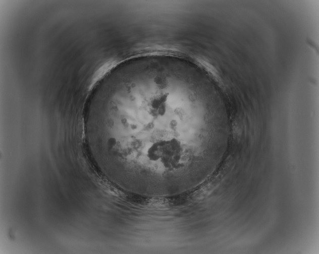X0000097601267200802291235