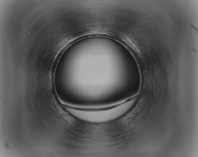 X0000097601268200802291235
