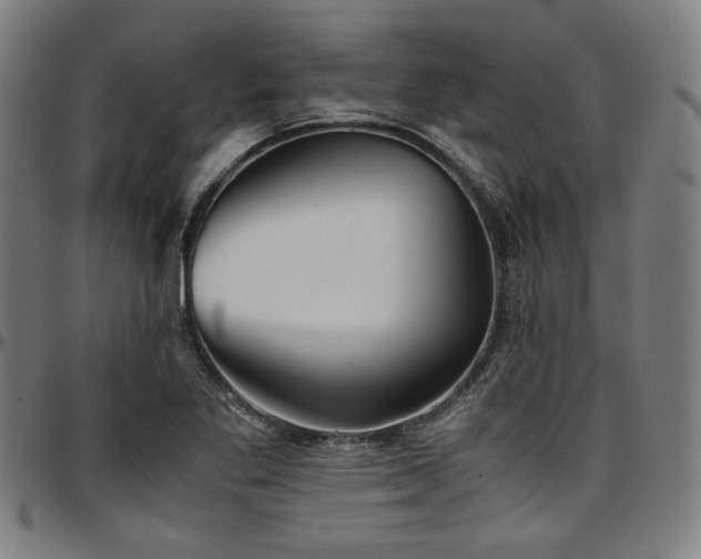 X0000097601269200802291235