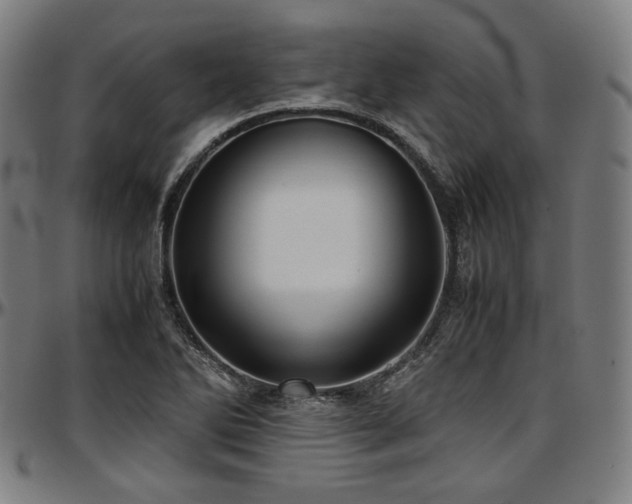 X0000097601270200802291235
