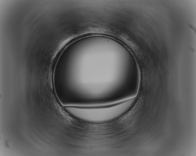 X0000097601272200802291234