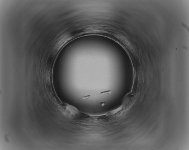 X0000097601273200802291234