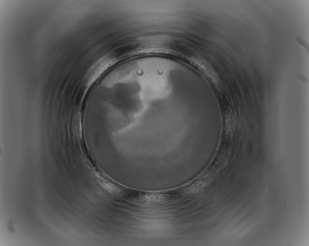 X0000097601274200802291234