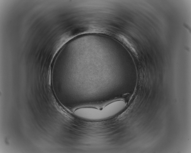 X0000097601276200802291234