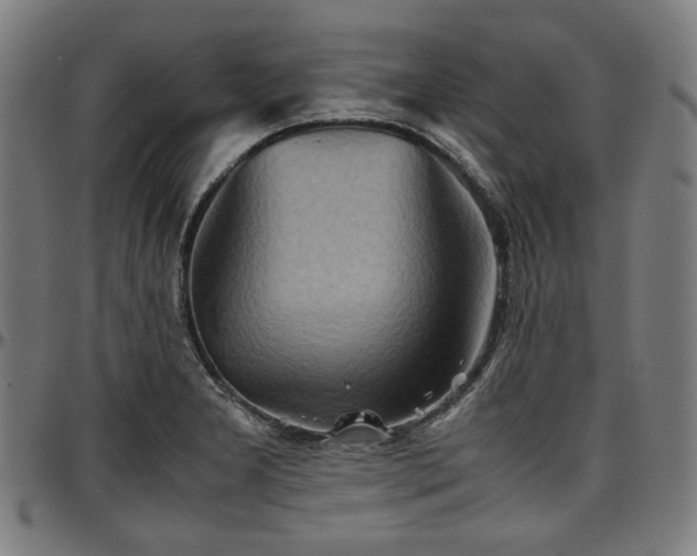 X0000097601277200802291234