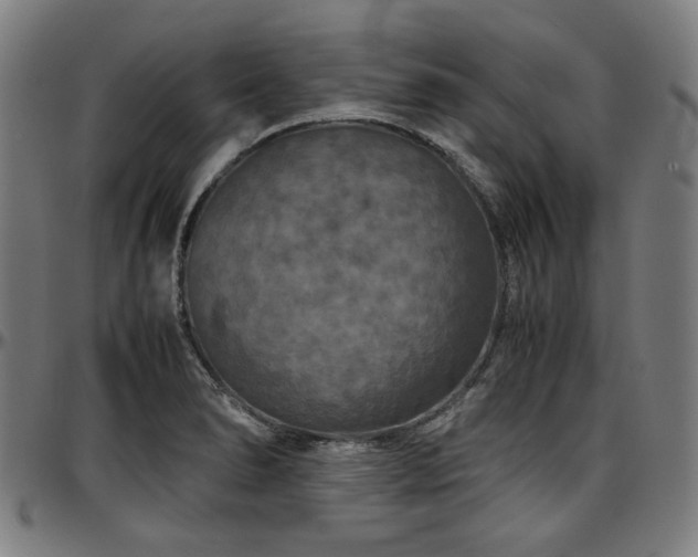 X0000097601278200802291234