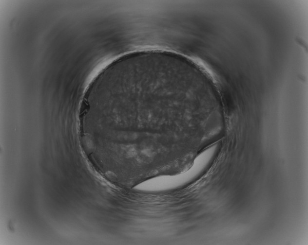 X0000097601279200802291234