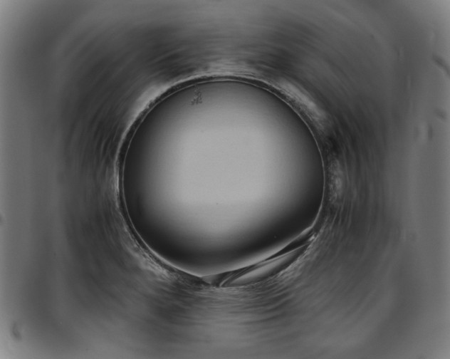 X0000097601280200802291234