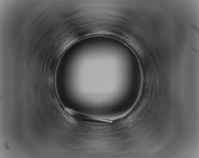 X0000097601281200802291234
