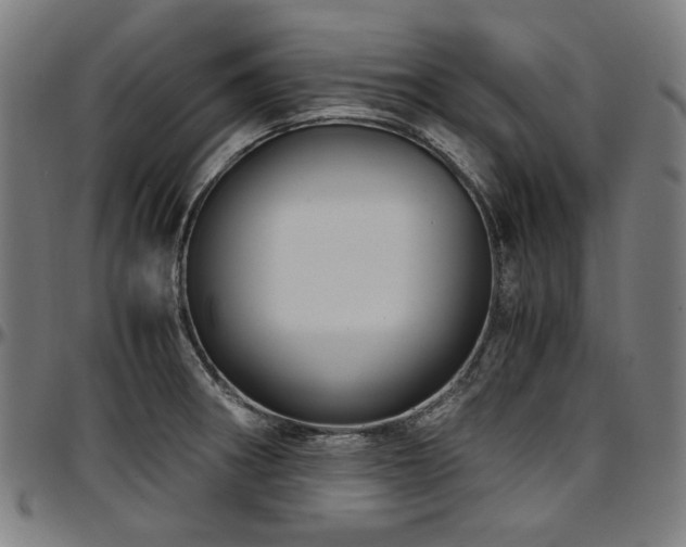 X0000097601282200802291234
