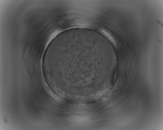 X0000097601283200802291234
