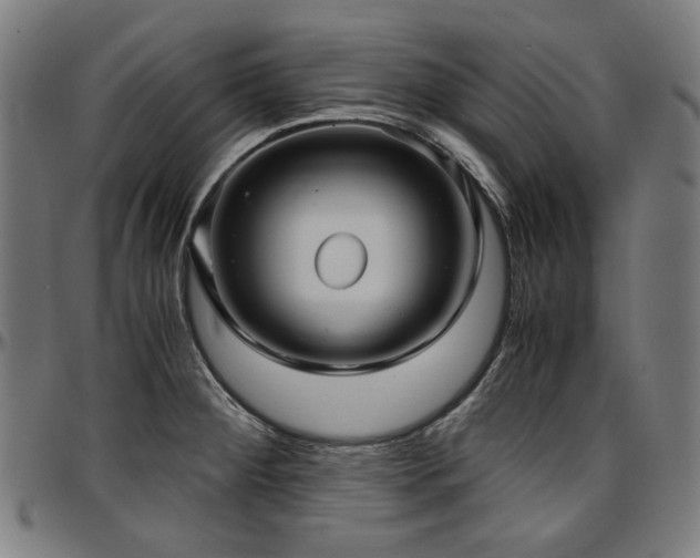 X0000097601284200802291234