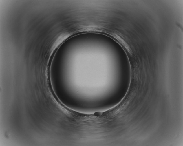 X0000097601285200802291234