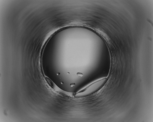 X0000097601288200802291234