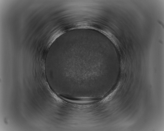X0000097601289200802291234