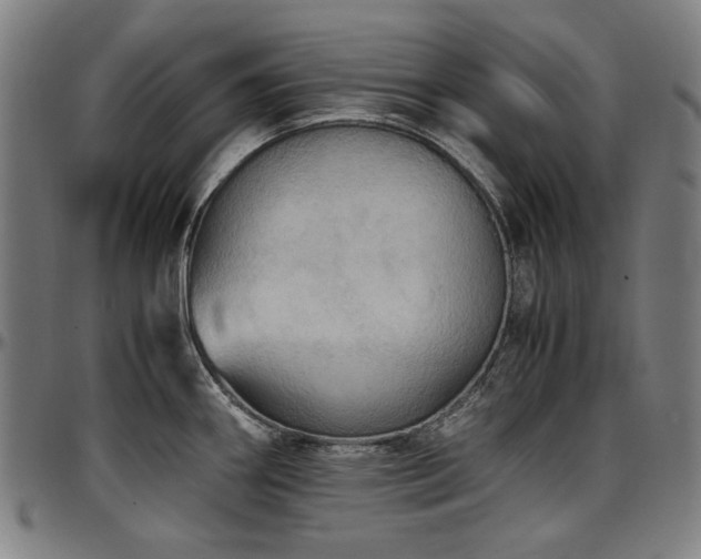 X0000097601290200802291234