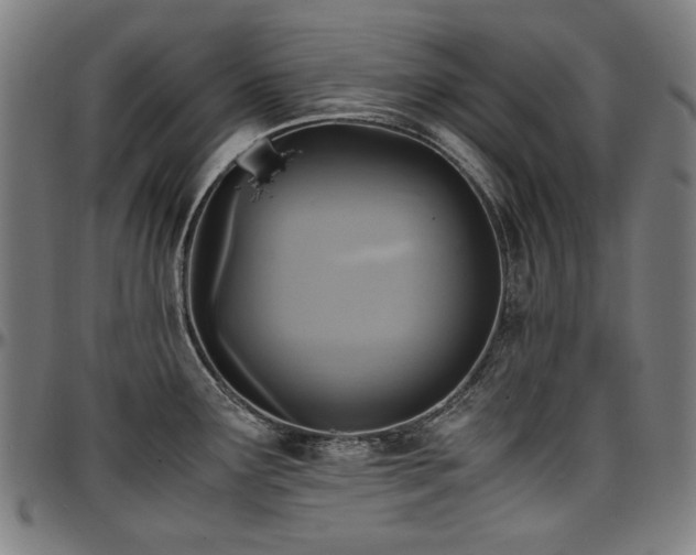 X0000097601291200802291234