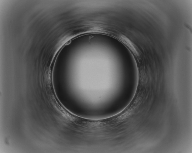 X0000097601292200802291234