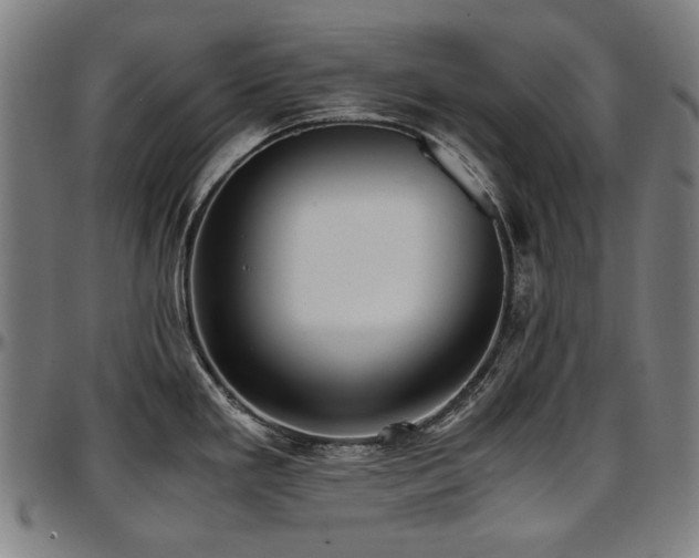 X0000097601293200802291234