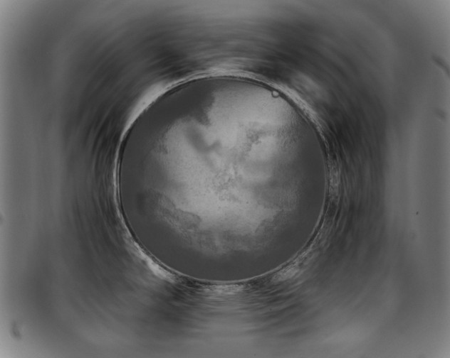 X0000097601294200802291234