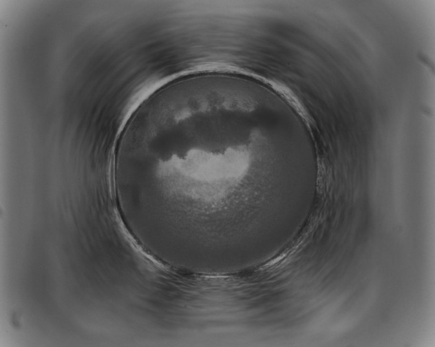 X0000097601295200802291234