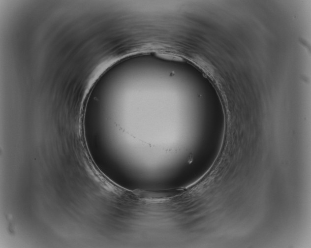 X0000097601296200802291234