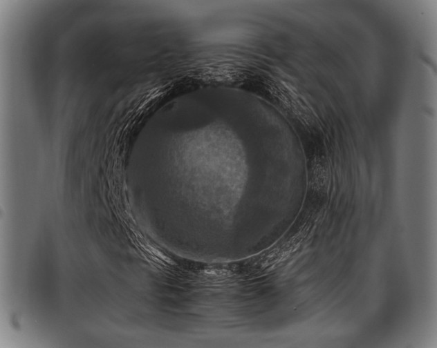 X0000097601297200802291233