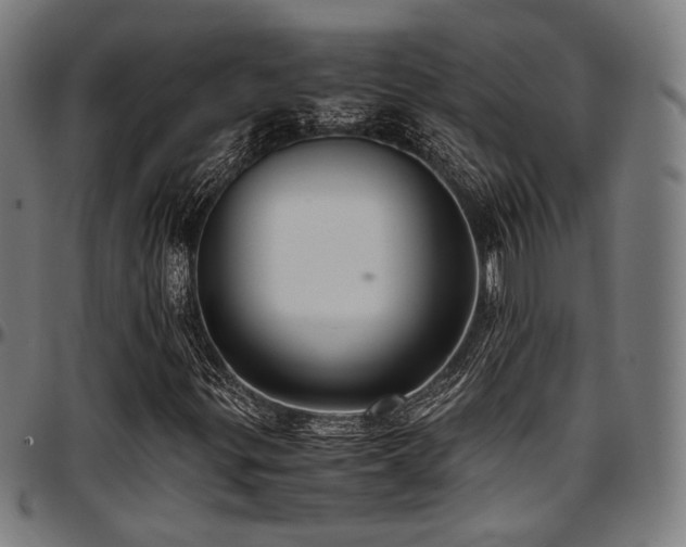 X0000097601299200802291233