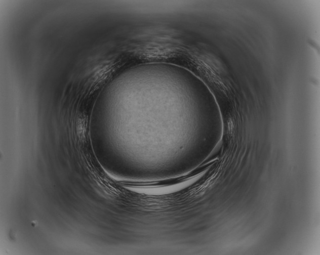 X0000097601300200802291233